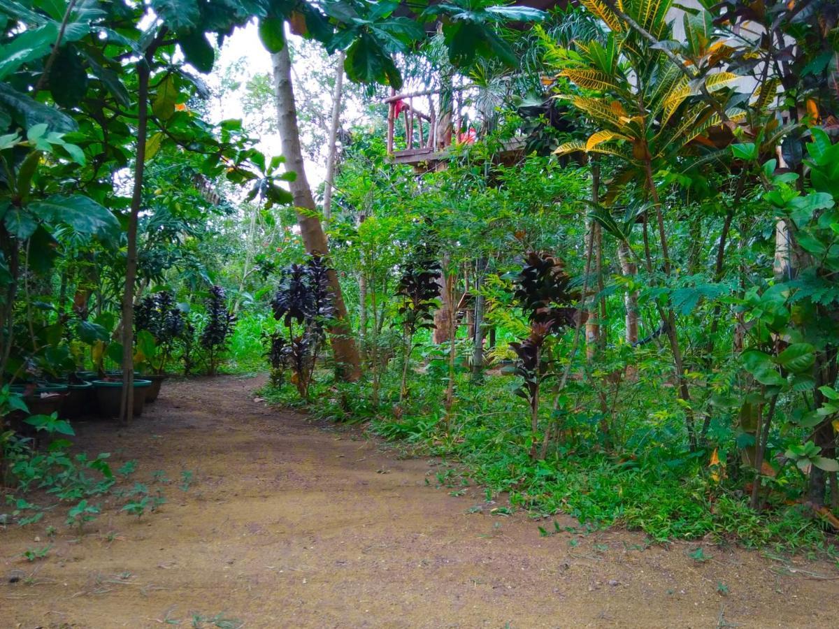 Ferienwohnung Akash Treehouse Sigiriya Exterior foto